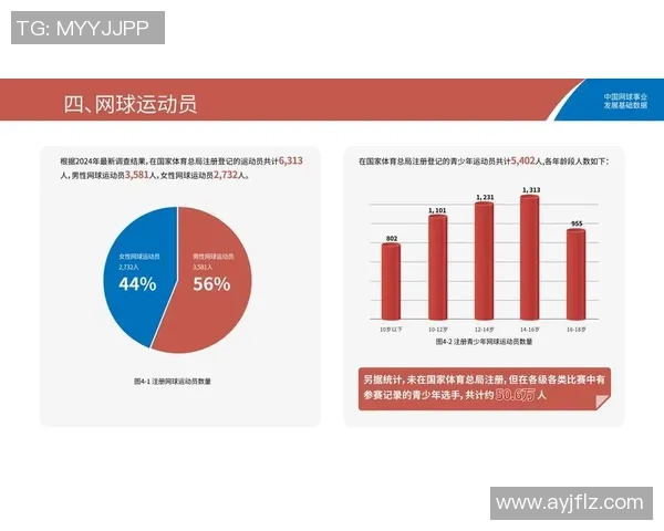 上海网球队个人能力分析与发展潜力探讨