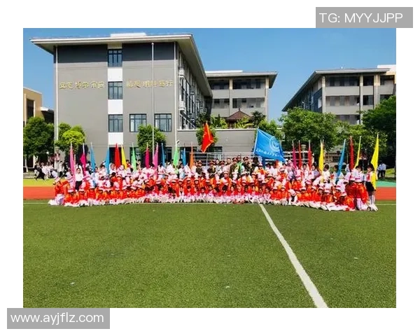 上海攀岩队的成功运营模式与发展策略深度解析