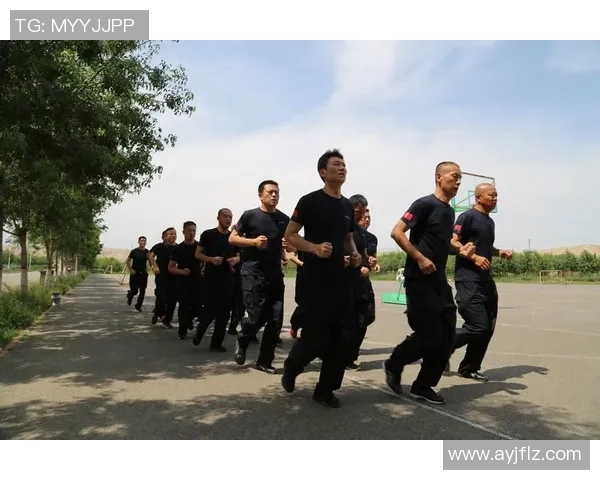 上海排球队阵地战体系解析与战术创新探讨