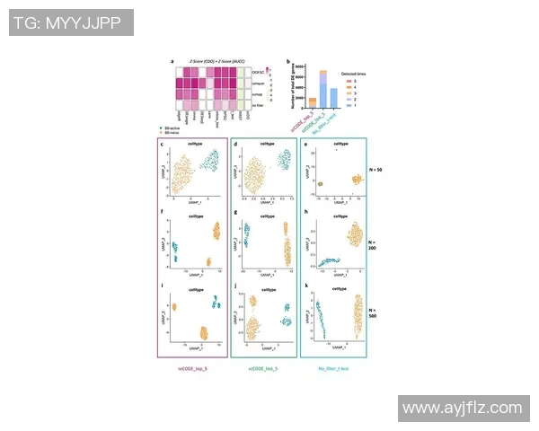 北京篮球队团队协作表现的数据分析与提升策略探讨