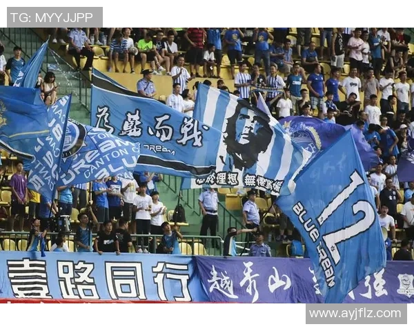 广州排球队实力解析与发展前景展望的深度探讨