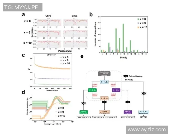 深圳极限运动队在世界杯中的团队协作表现分析与点评 深圳极限运动队在世界杯中的团队协作表现分析与点评