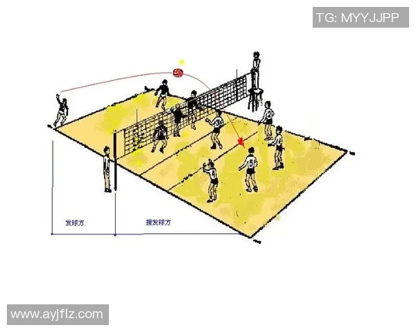武汉排球队引领最新排球战术十强榜单解析与展望